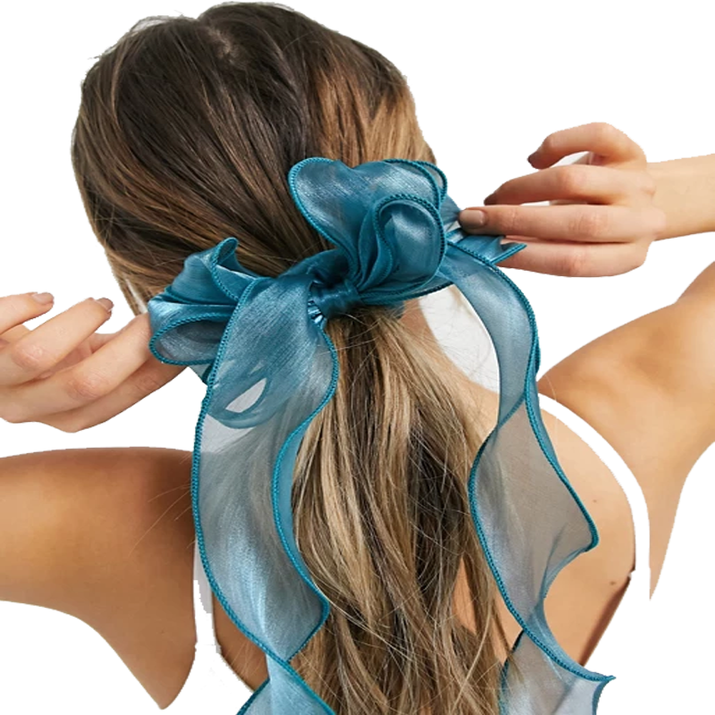 3.07. Hairtie Accessory