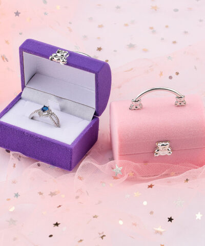 Small Jewelry Gift Box Cute Velvet Jewelry Case